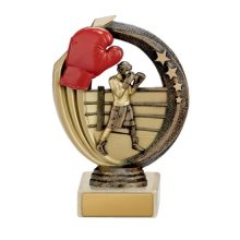 Boxing Trophy