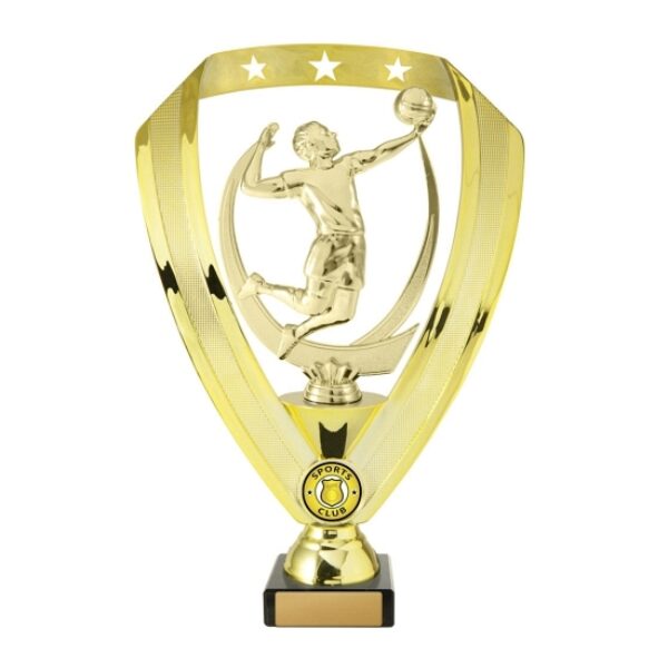 Volleyball Trophy With 25mm Centre